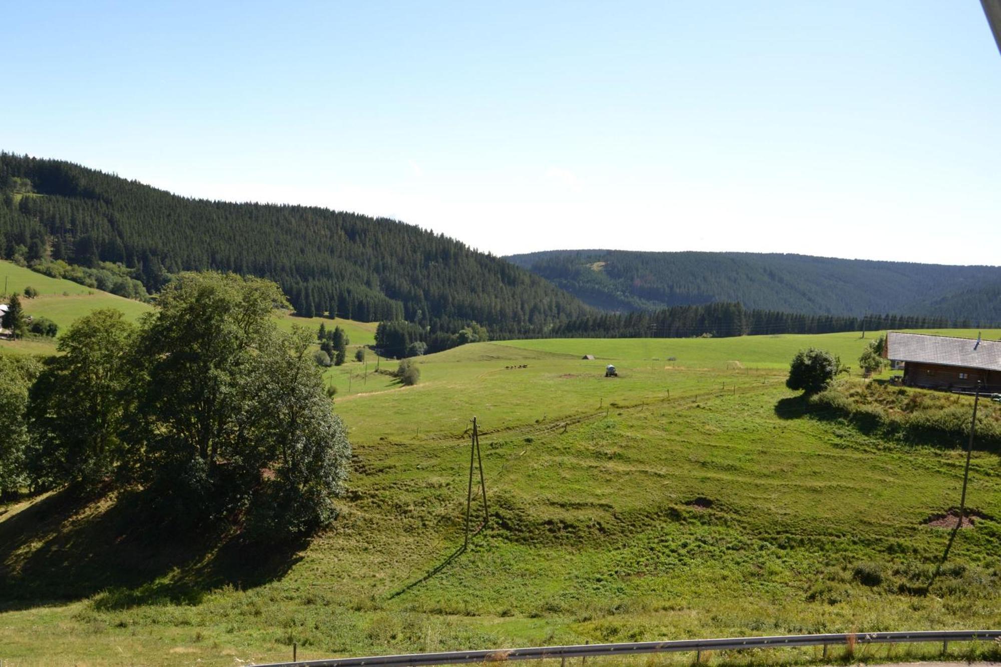 Ferienwohnung Beim Pauli Titisee-Neustadt Extérieur photo